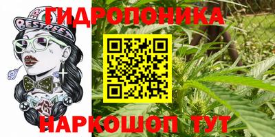 тгк Дубна