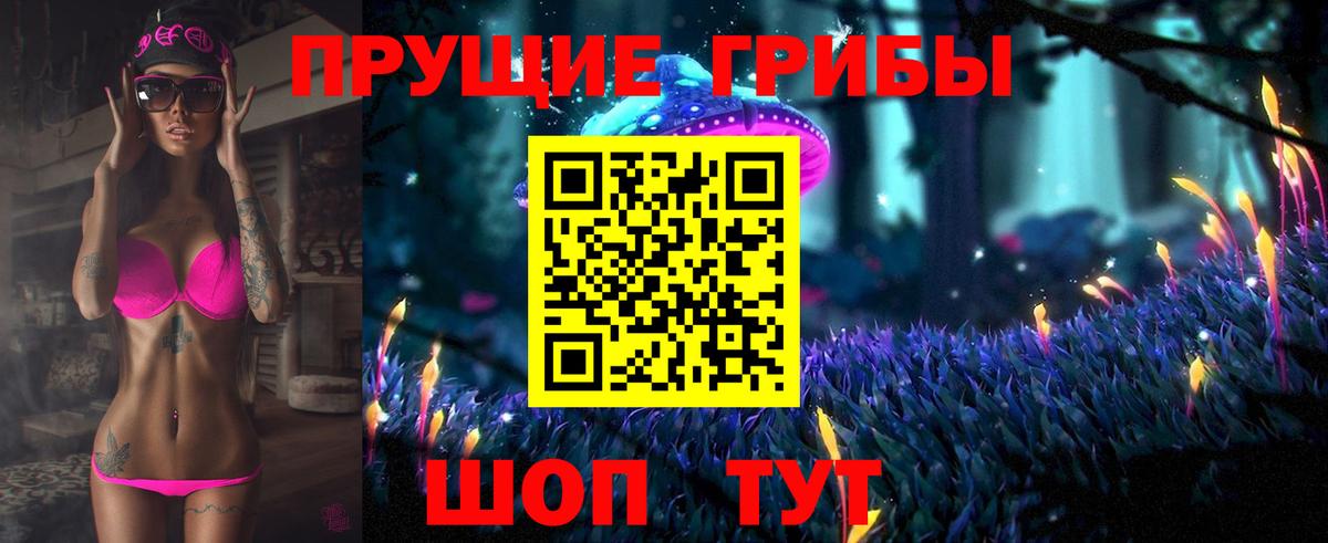 Псилоцибиновые грибы мицелий Рубцовск
